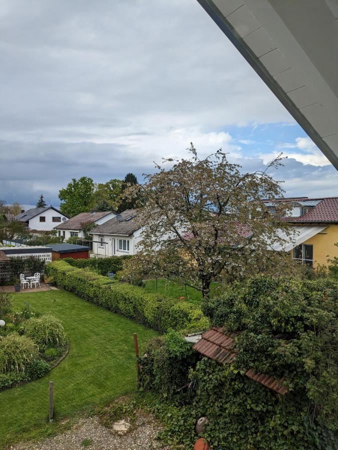 Badischer Neubau-Ruhe-Kunst-Natur 라이나우 외부 사진