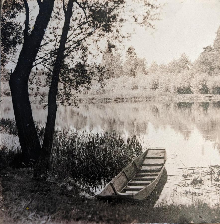 Badischer Neubau-Ruhe-Kunst-Natur 라이나우 외부 사진