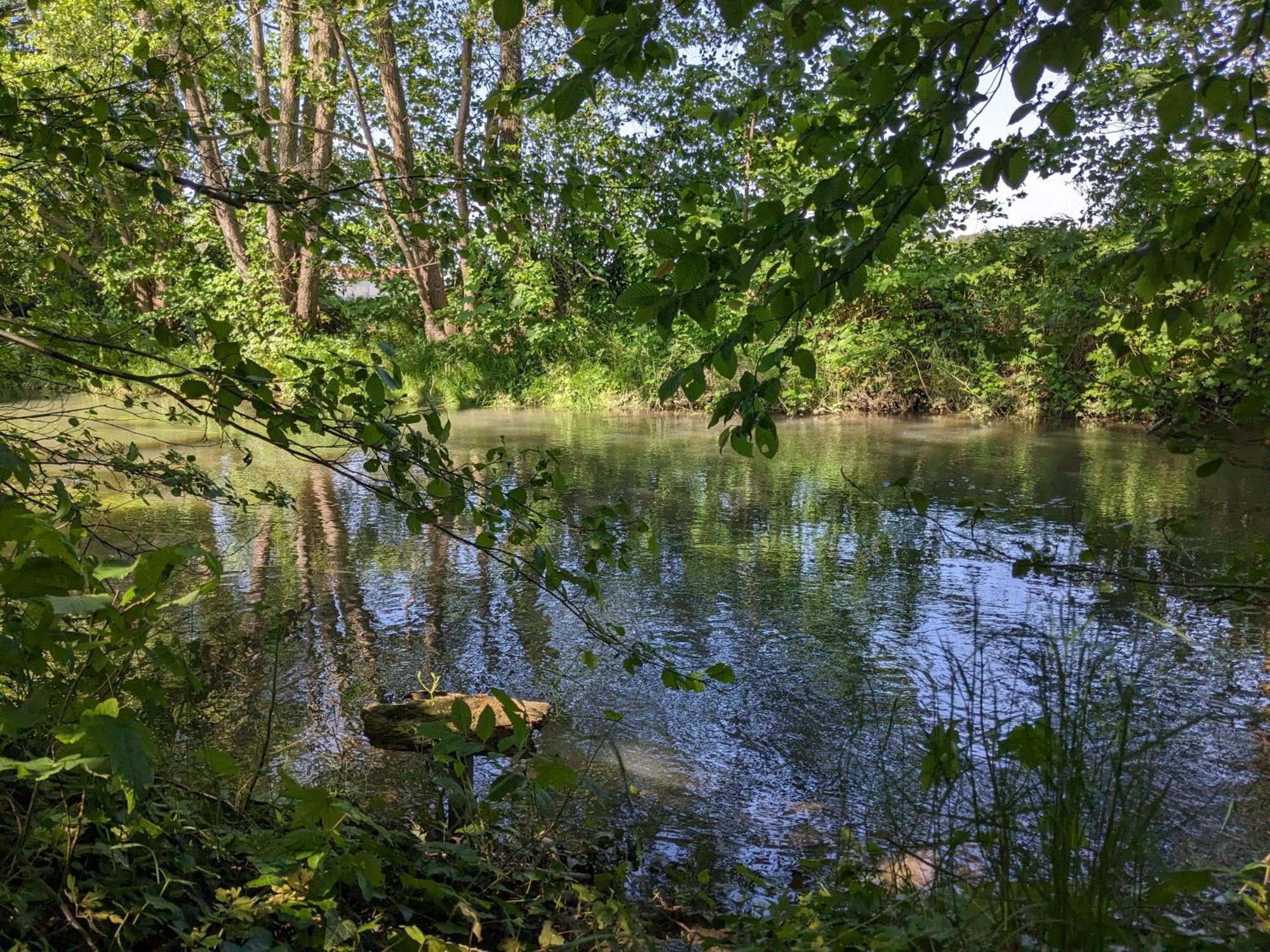 Badischer Neubau-Ruhe-Kunst-Natur 라이나우 외부 사진