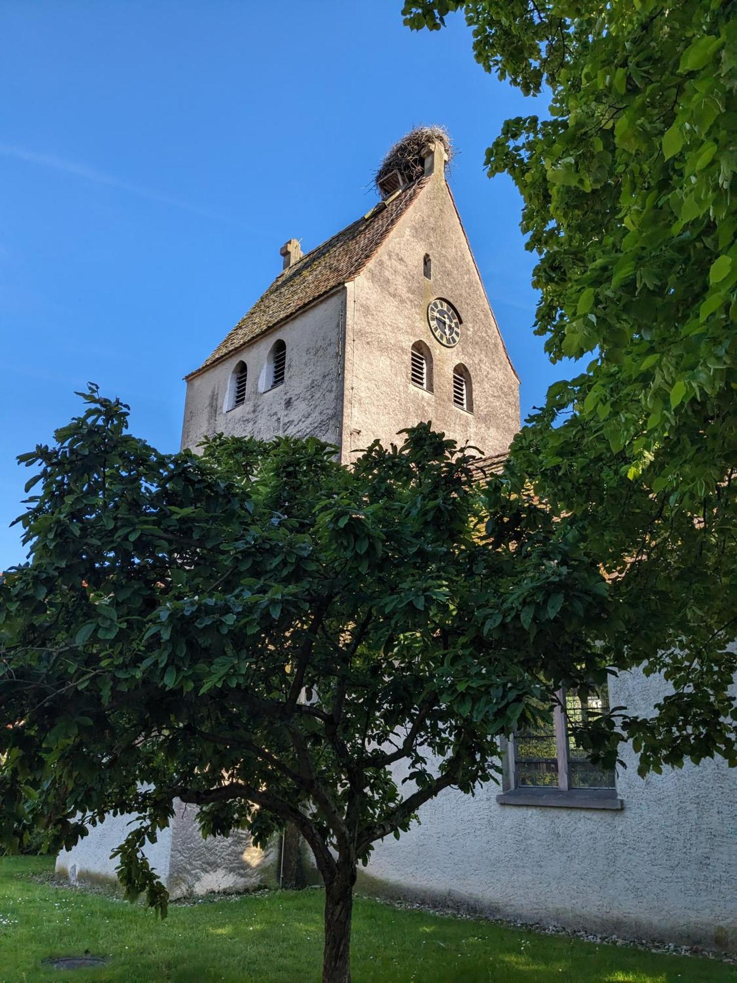 Badischer Neubau-Ruhe-Kunst-Natur 라이나우 외부 사진