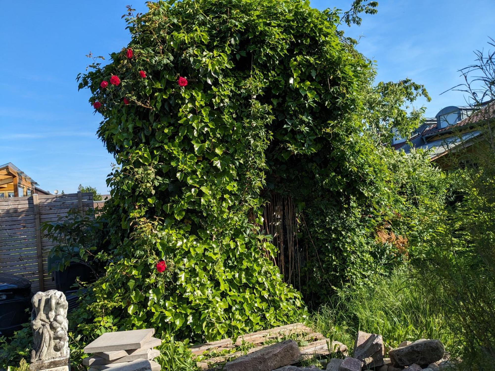 Badischer Neubau-Ruhe-Kunst-Natur 라이나우 외부 사진