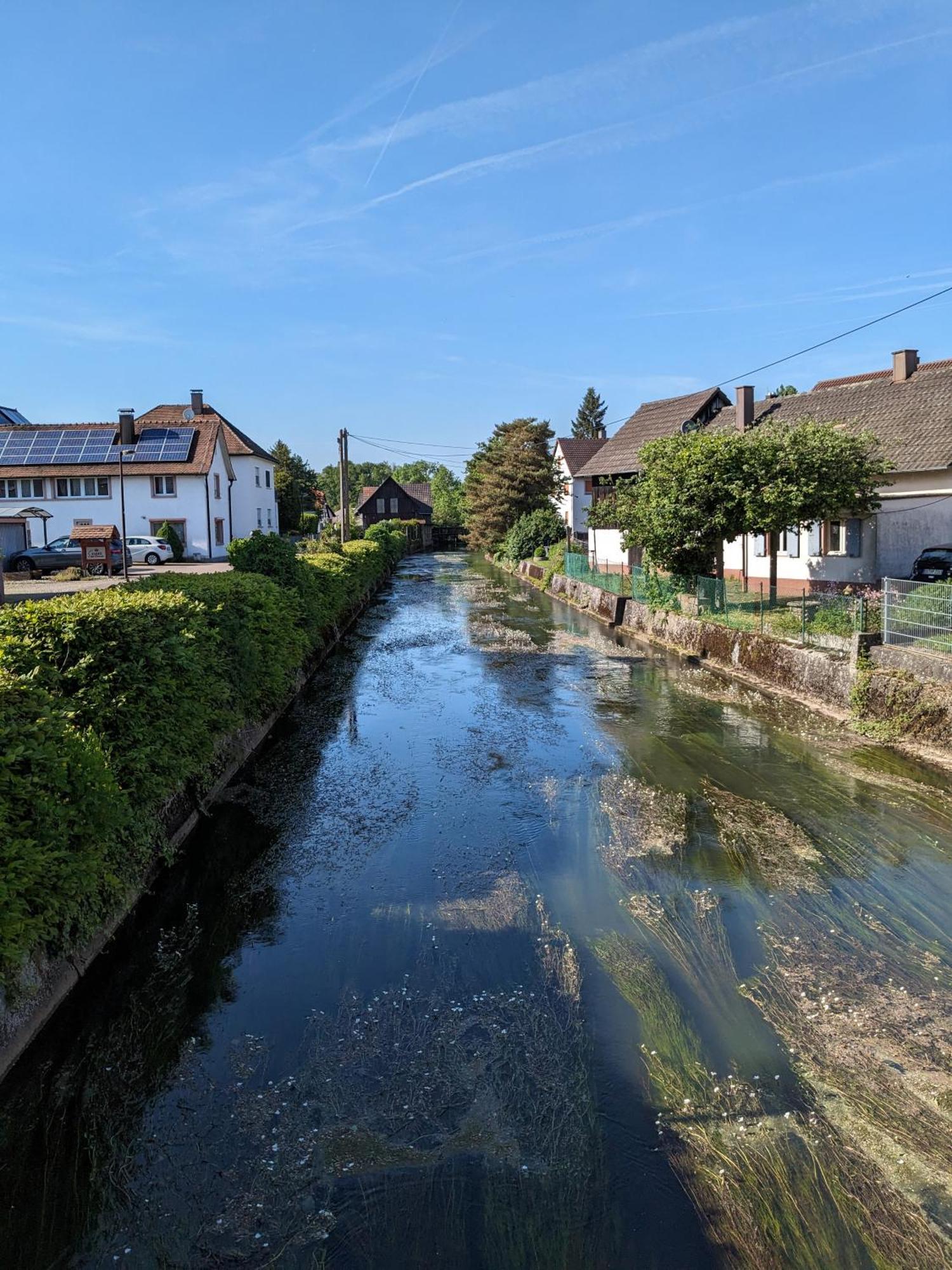 Badischer Neubau-Ruhe-Kunst-Natur 라이나우 외부 사진